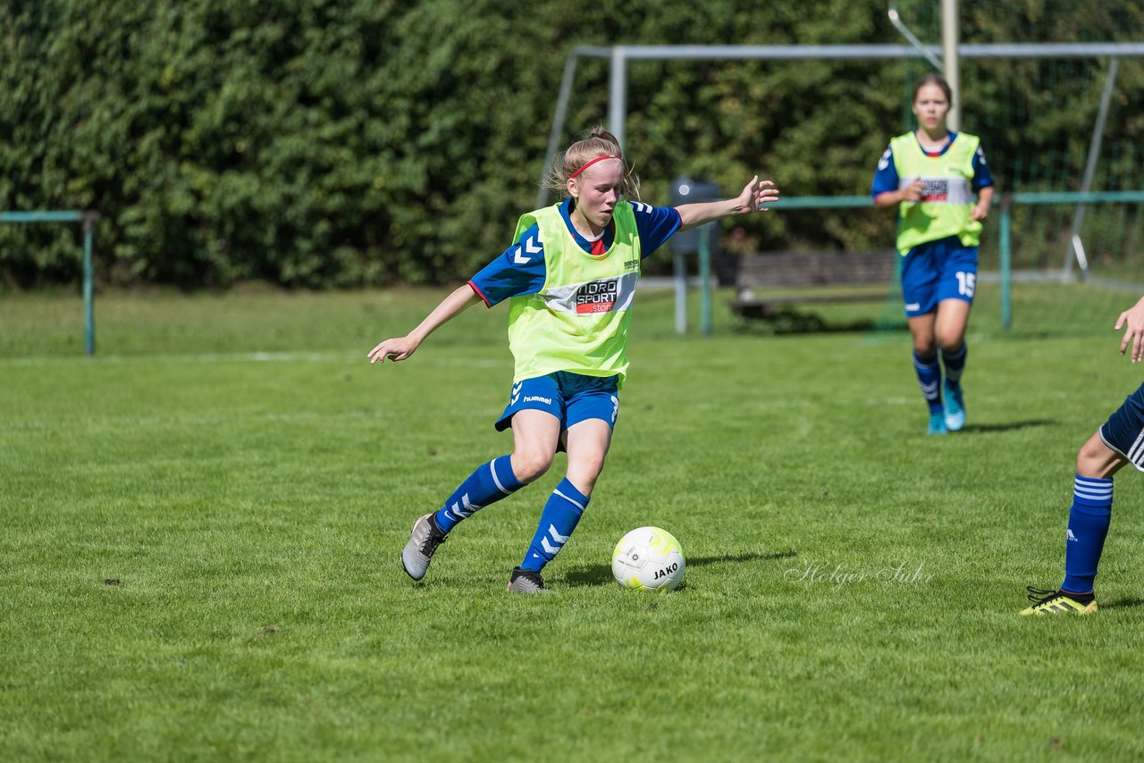 Bild 185 - B-Juniorinnen VfL Pinneberg - HSV : Ergebnis: 1:4